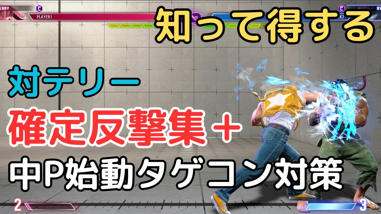 対テリー 確定反撃と技性能まとめ — リュウでの反撃手段
