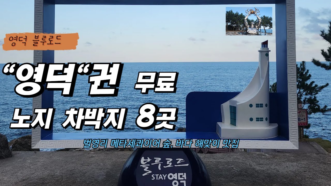 영덕군 최고의 차박지 & 무료 노지 캠핑!