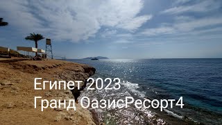 Grand Oasis Resort 4 , Египет Шарм эль Шейх 2023. Какие рыбки плавают в Красном море?