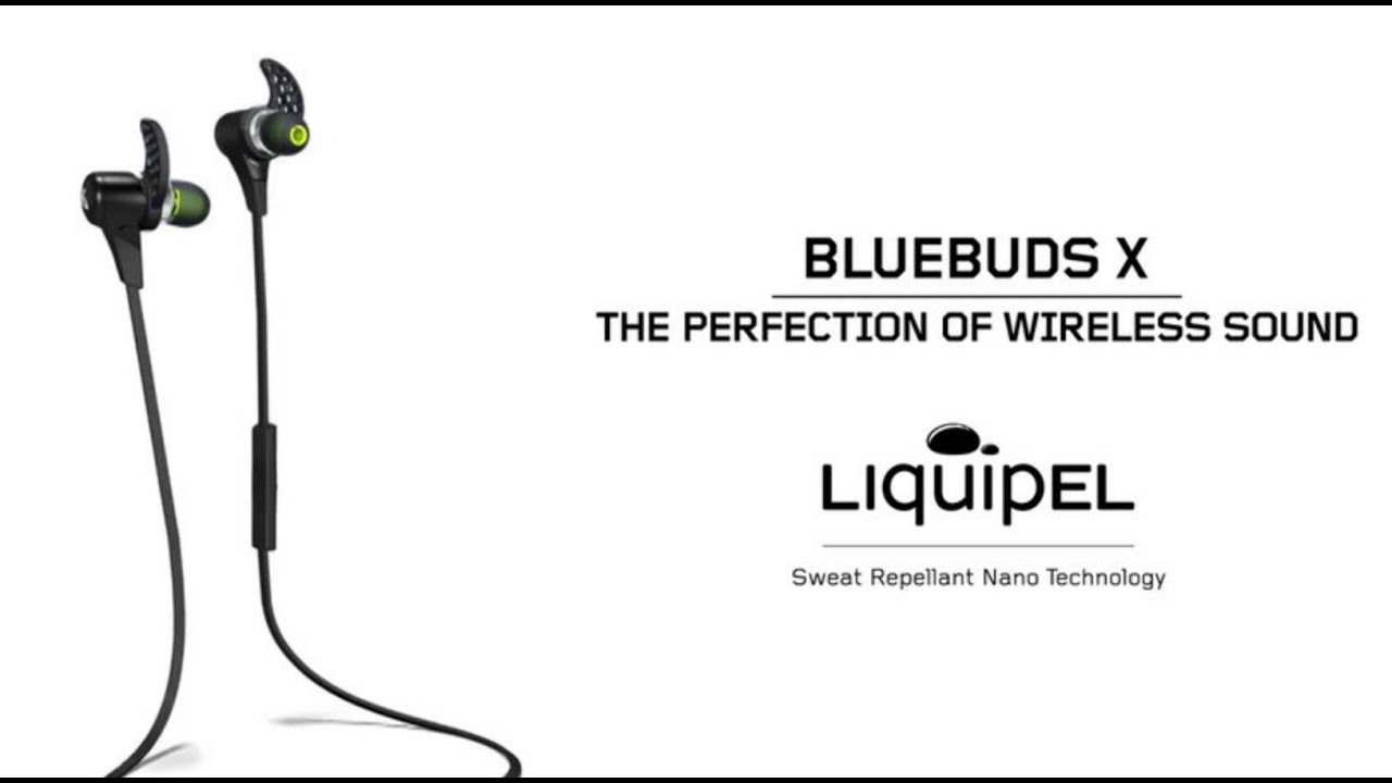 jbird bluebuds x pairing jbird bluebuds x pairing