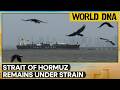 West Asia Conflict: Strait of Hormuz Triggers Global Energy and Trade Disruptions | World DNA