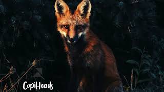 Free Spirit - CopiHeads