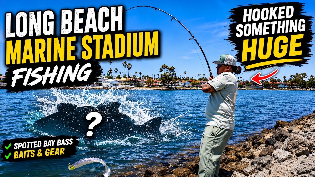 I Hooked Something HUGE… But Never Saw It (Long Beach Marine Stadium Fishing)