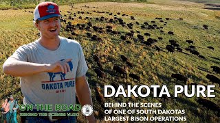 DAKOTA PURE Raising Bison in South Dakota