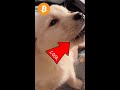 Crypto for Beginners: What NO ONE Tells You! #wupples 8