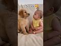 Who will blink first? 👀👶🐶#shorts #ytshorts #shortsfeed #youtubeshorts
