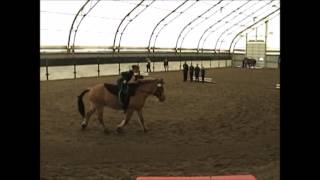 Triple M Abigail Old Compulsories Round 1 Vaultcanada Individual Trot C 2014 Vaultcanada Nat