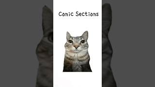 Conic Sections Explained By Cats #facts #factshorts #maths #cats