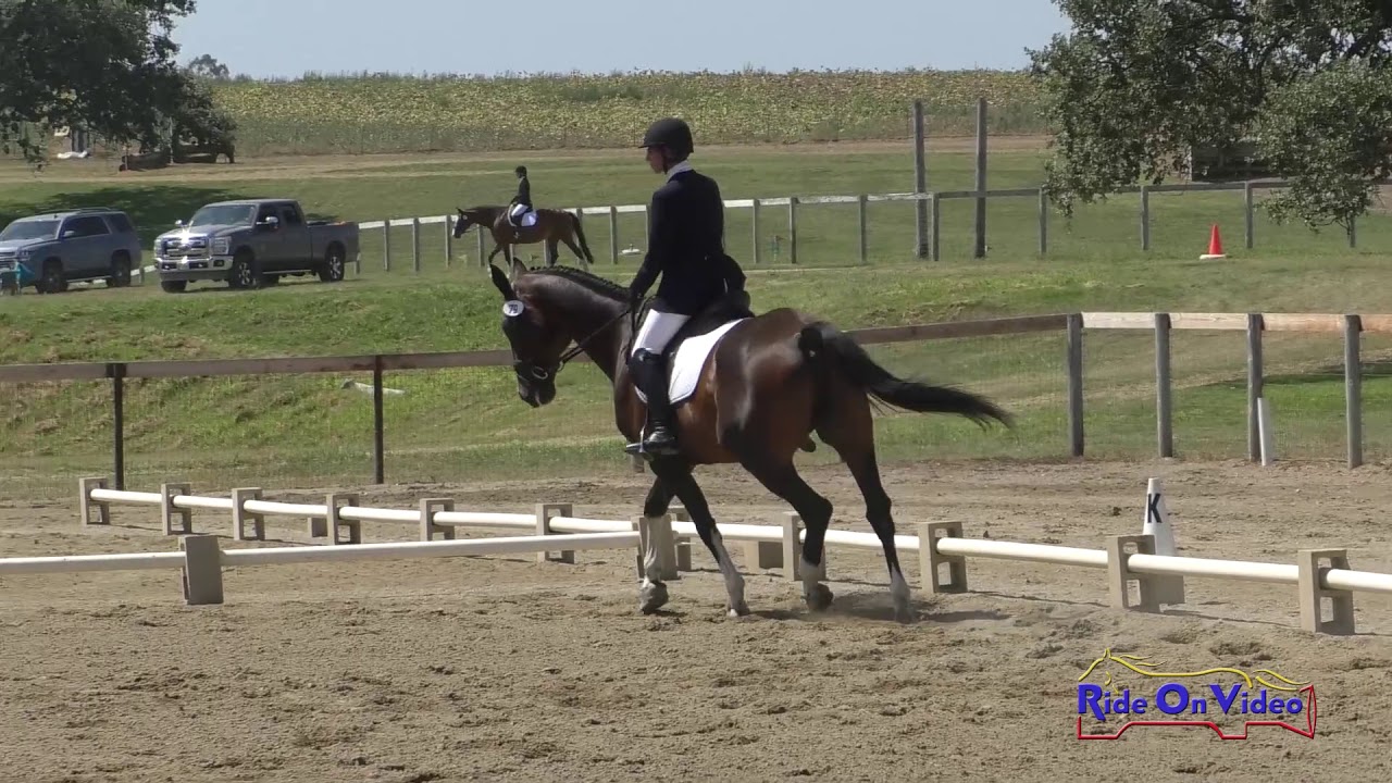 horseshoe bend 079D Chloe Kischuk on Defender JR Beginner Novice Dressage Shepherd Ranch August 2019