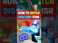 Catching the DISCORD Fish in Roblox Fisch