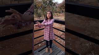 Learn children song “Jesus loves me”, in ASL