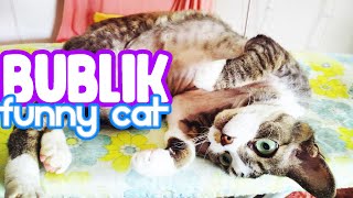 Bublik is trying a new mattress / Devon rex by Bublik funny cat 215 views 3 years ago 5 minutes, 36 seconds
