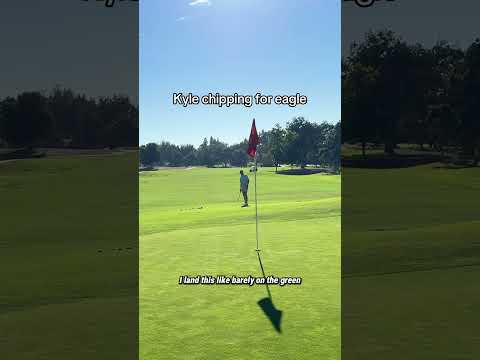 +7 hcp chips in for eagle #golf