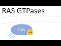 Understanding G Proteins and Their Role in Cell Signaling