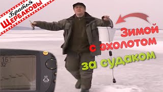 видео: ЗИМОЙ С ЭХОЛОТОМ ЗА СУДАКОМ.  картинка: ЗИМОЙ С ЭХОЛОТОМ ЗА СУДАКОМ.