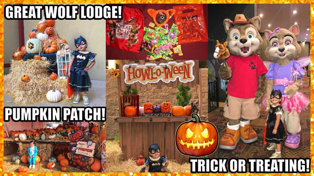 HALLOWEEN FUN AT THE GREAT WOLF LODGE and The PUMPKIN CORRAL PATCH