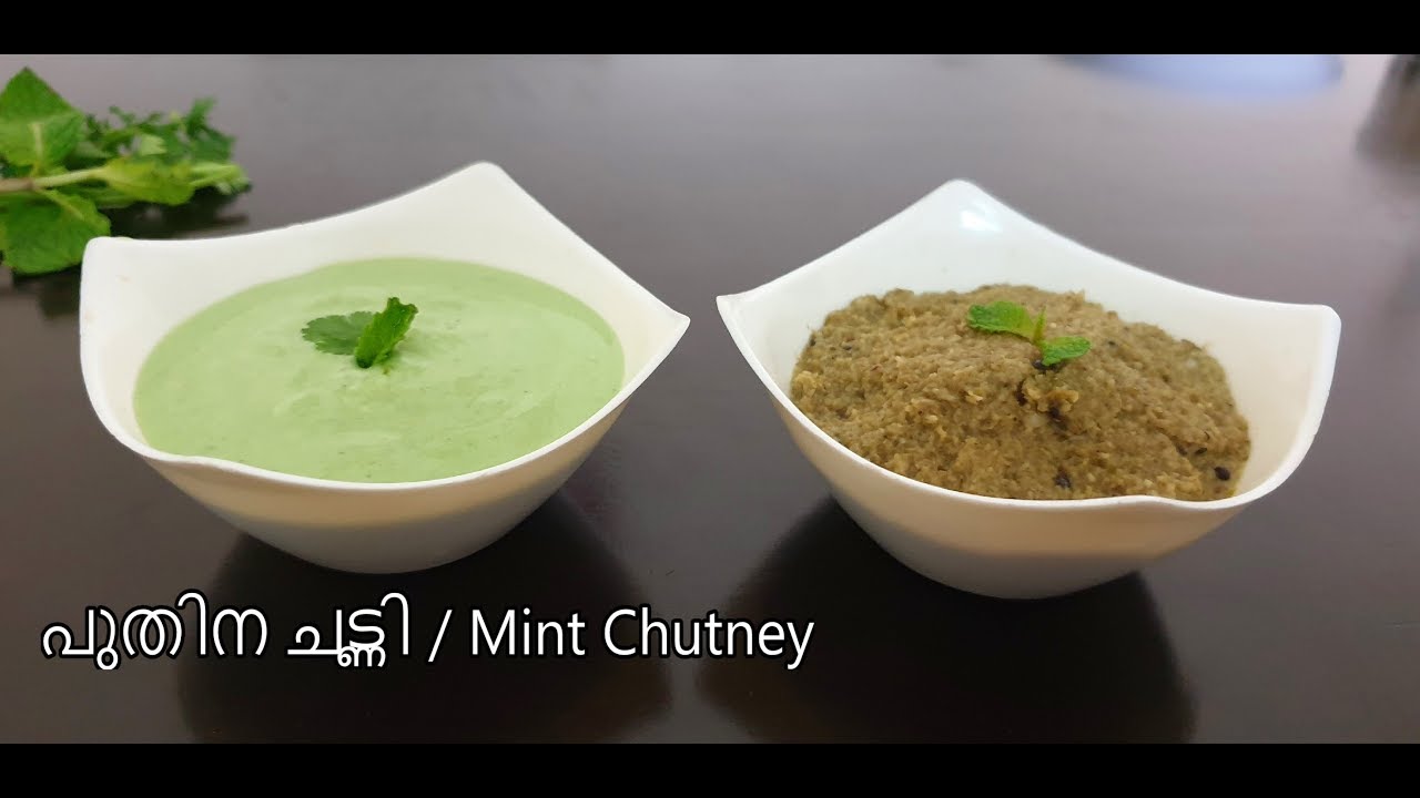 mint yogurt chutney recipe പുതിന ചട്ണി രണ്ടു രീതിയിൽ | Mint Chutney