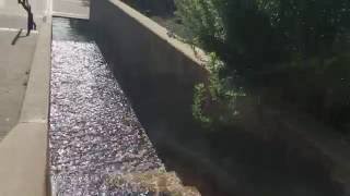 Celebrity NEST - "Cheat Codes" [Official Video] @nestwest Profile