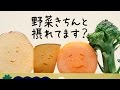 DHC 国産パーフェクト野菜 プレミアム