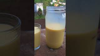 Rompope Casero Fácil Y Delicioso   Cocinero En Proceso