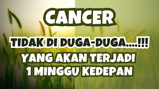 CANCER✨TIDAK DIDUGA-DUGA..‼️YANG AKAN TERJADI 1 MINGGU KEDEPAN CANCER