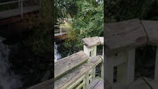 Hurricane Florence 2018