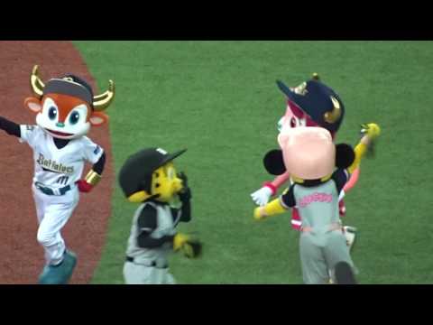 2017.06.07 オリックス - 阪神 マスコットみんなでSteadyGo!