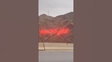 الشيخ ياسر الدوسري سورة الدخان