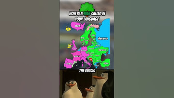 How is a tree caled in your languagage? #short #map #geography #mapping #mapper #countries #europe