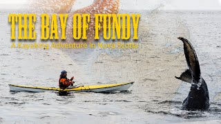 The Bay Of Fundy - A Kayaking Adventure in Nova Scotia by Adventure Sports TV Docs 67 views 2 months ago 19 minutes