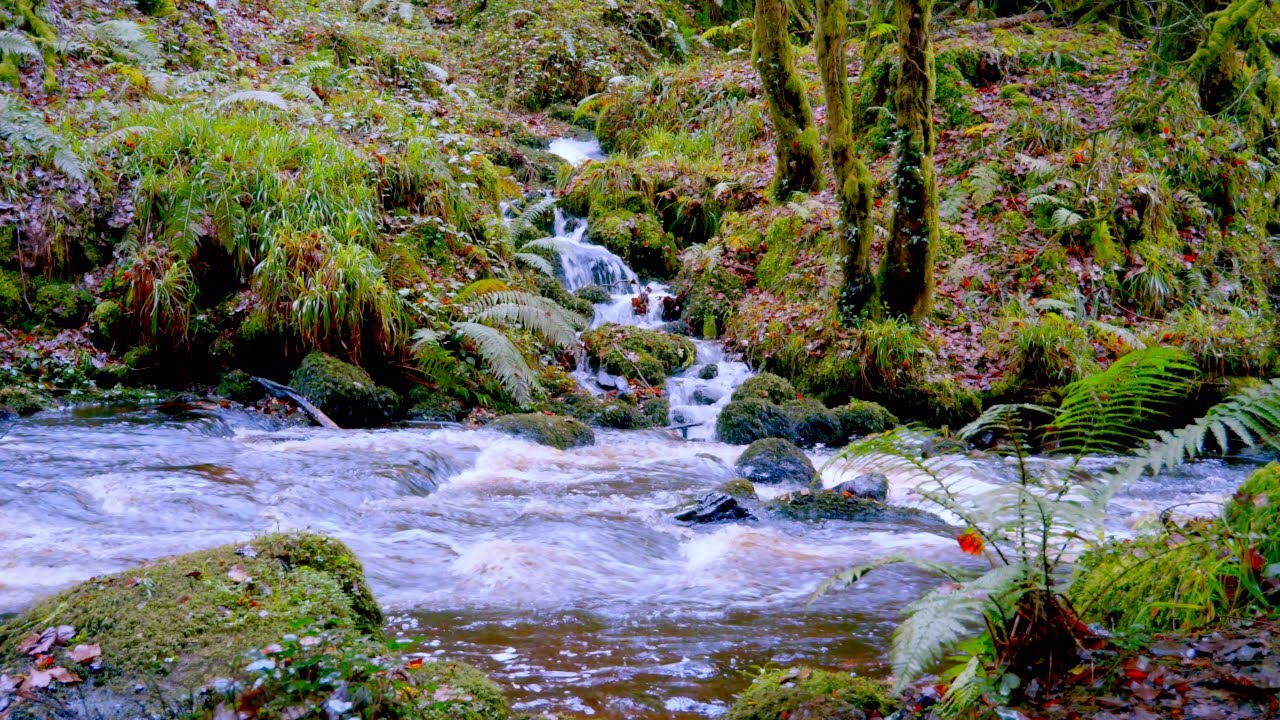 4K Relaxing Natural Environmental Sounds - Winter Woodland Waterfall & River Sounds