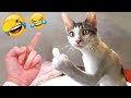 You Laugh You Lose 😂🐱 Funniest Dogs and Cats Videos 2025 🐶🐾