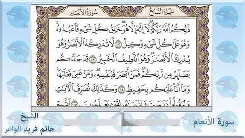 سورة الأنعام   الشيخ حاتم فريد الواعر