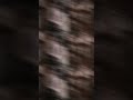 Tưởng ngôn tình hoá ra… #kokoroasano #short #yutaao
