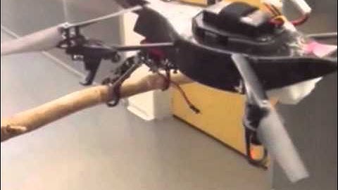 Drone with legs can perch on a branch