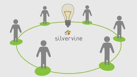Plant your seeds to success with Silvervine