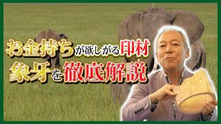 【お金持ちの共通点】超希少部位象牙を徹底解説/なぜ金持ちは「象牙」を選ぶのか/象牙が持つ不思議な力/ボランティア/象の密猟