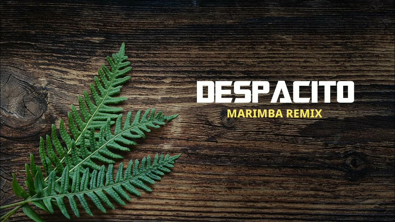 Despacito Ringtone ( marimba remix ) Despacito x iphone YouTube