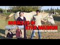 Miracles in kfar maimon  dr dominiquae bierman