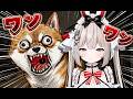 わんわんわん!!!!!!!!!!!!!!