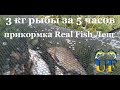 Рыбалка в Киеве 3 кг рыбы за 5 часов с прикормкой Real Fish #3 выпуск