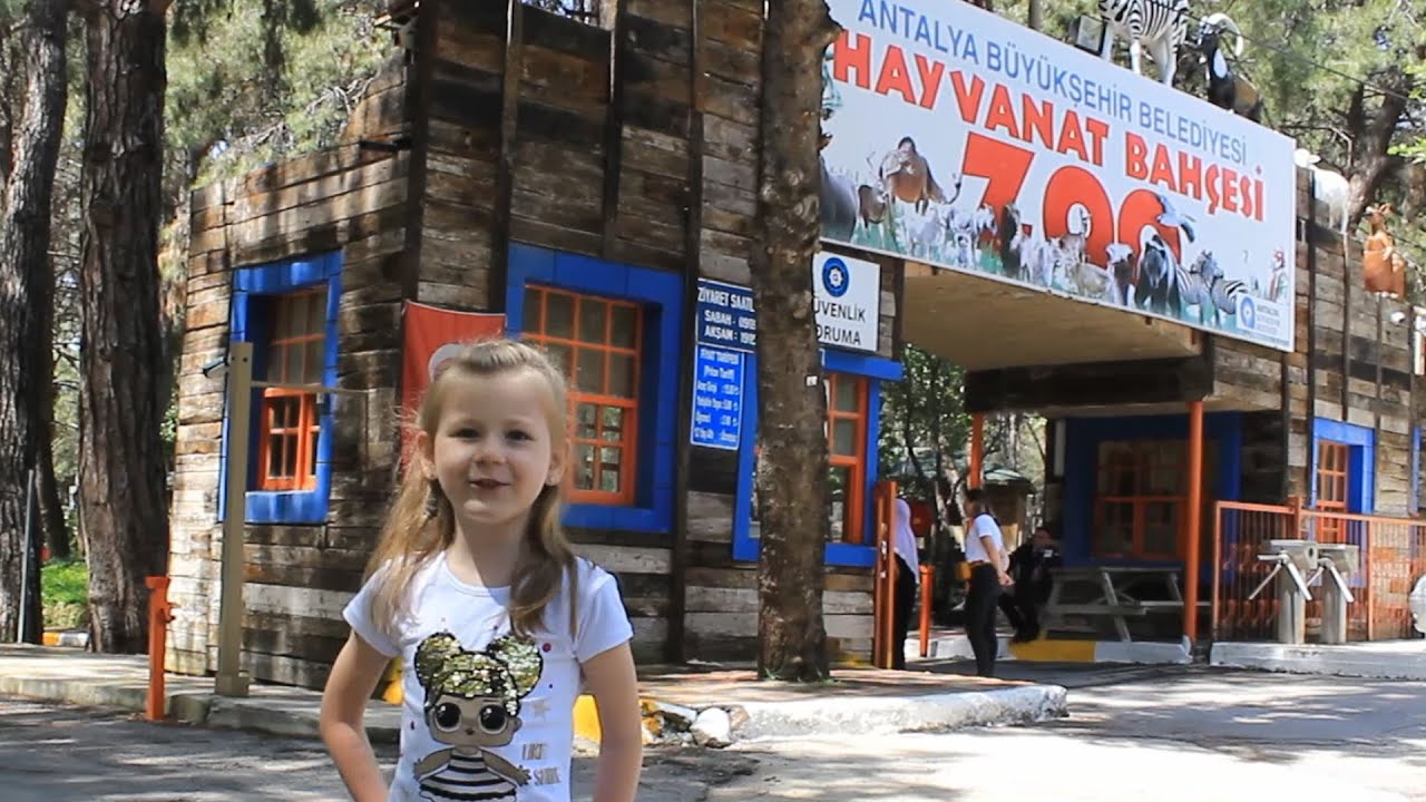 Antalya Zoo, Зоопарк в Анталье самостоятельная экскурсия. YouTube