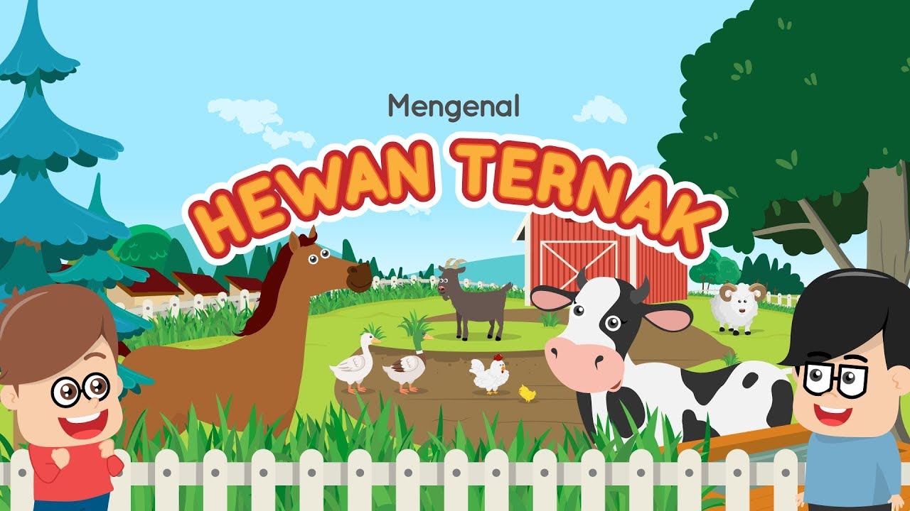 Mengenal Hewan Ternak  Bahasa Indonesia dan Inggris Eza 