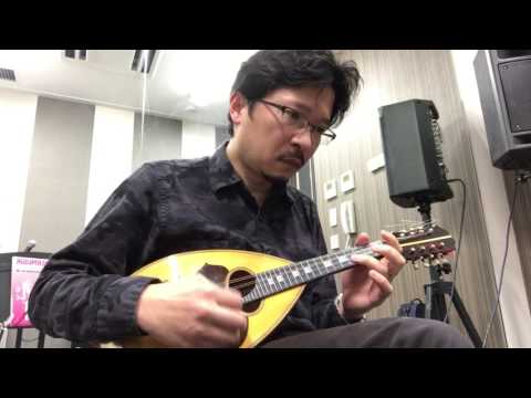 宇宙刑事シャイダー マンドリン mandolin