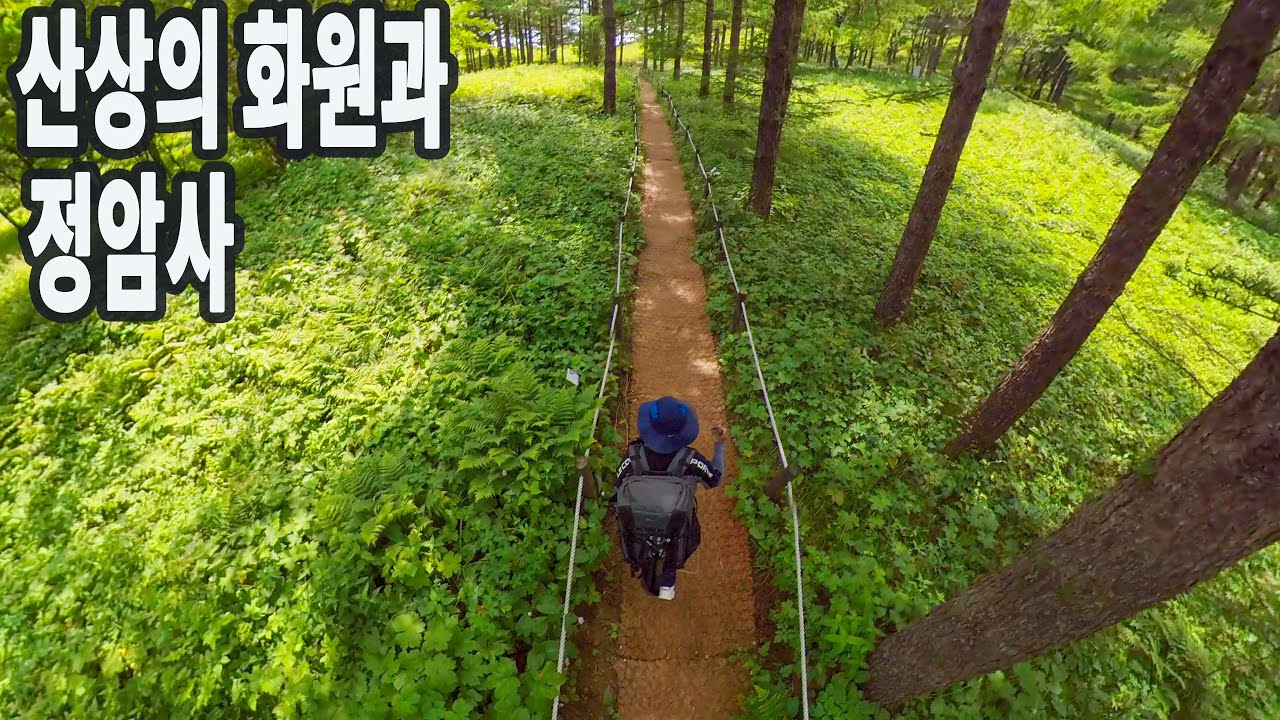 정암사와 만항재 야생화트레킹/함백산 트레킹/정선여행