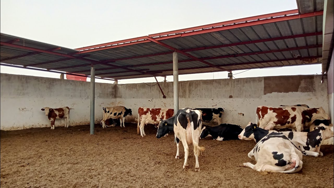 دائما الجديد  ضيعة فلاحية للبيع  نواحي ابن احمد،للتواصل مع طارق.    0667028522