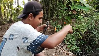 Ga Nyangka Dikolam Kecil Ada Ikan Kaya Gini