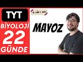 Mayoz Bölünme Konu Anlatımı | 22 GÜNDE TYT BİYOLOJİ KAMPI | 2026-27 | 16. Gün 1. Ders