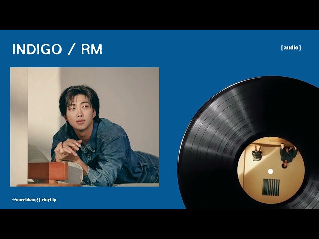 [audio] RM - Wild FLOWER (with youjeen) | vinyl LP edit class=