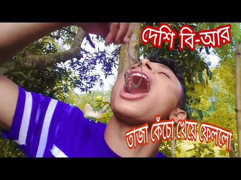 ভিডিও: নেমাটোড দুষ্টামি